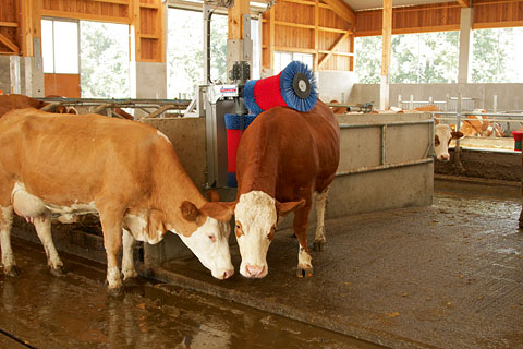 Автоматическая щетка для чистки шкуры коров HAPPYCOW Duo
