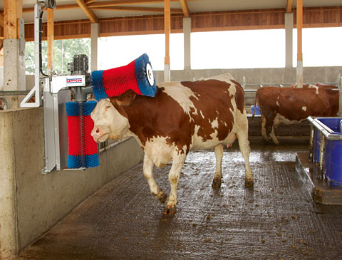 Автоматическая щетка для чистки шкуры коров HAPPYCOW Duo