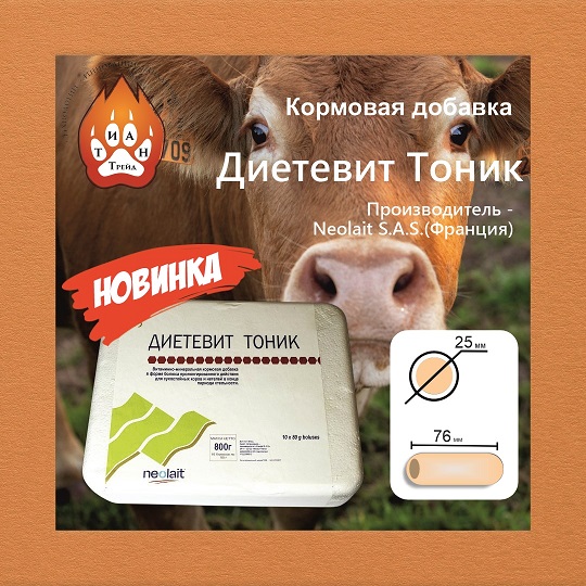 Диетвит Тоник.jpg